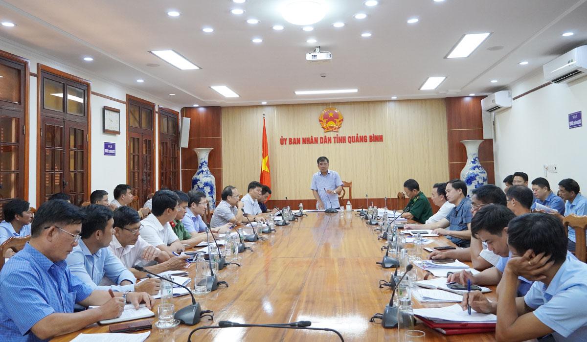 Đồng chí Đoàn Ngọc Lâm - Phó Chủ tịch thường trực UBND tỉnh Quảng Bình phát biểu tại buổi làm việc.