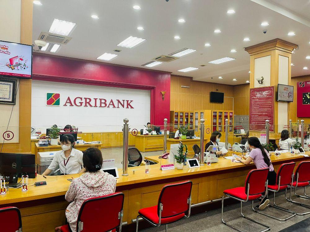 Agribank là ngân hàng thương mại duy nhất có 100% vốn điều lệ thuộc về Nhà nước.