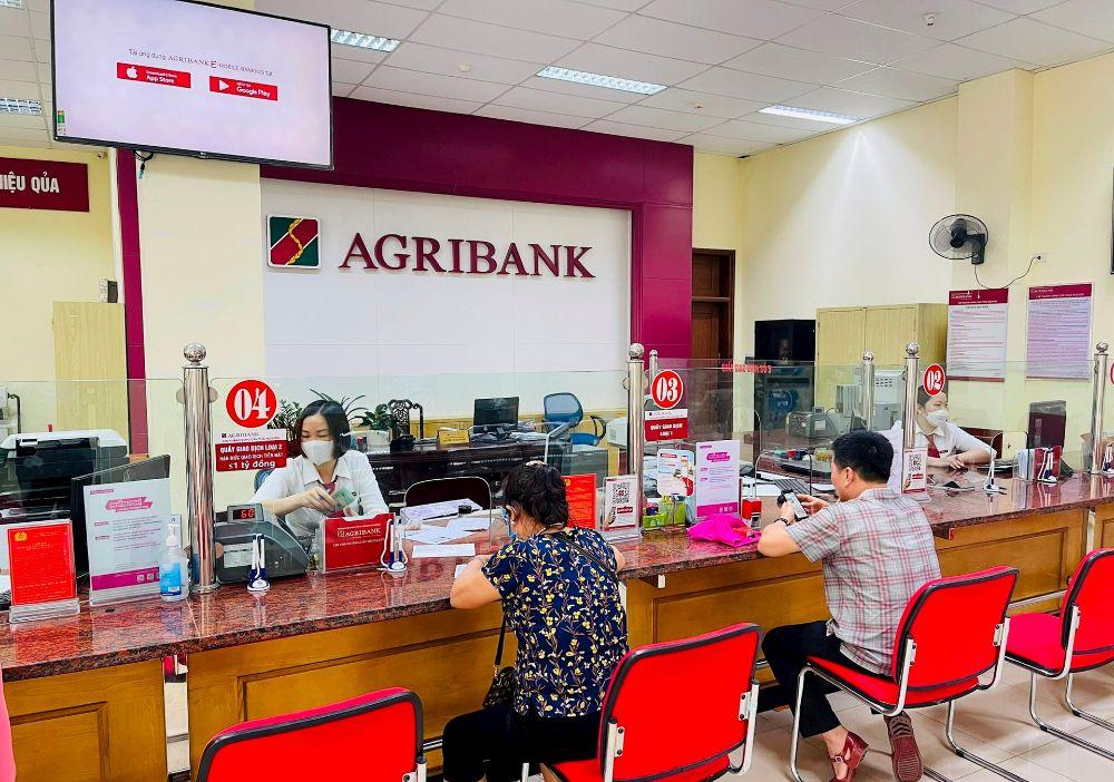 Agribank: NHTM duy nhất Nhà nước nắm giữ 100% vốn điều lệ - ảnh 3
