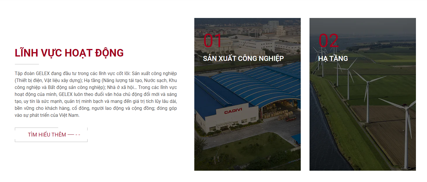 Tập đoàn Gelex: Top 50 doanh nghiệp có lợi nhuận xuất sắc nhất Việt Nam - ảnh 2
