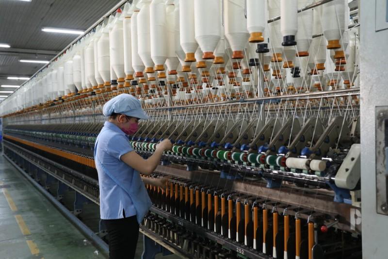 Vinatex: Tập đoàn dẫn đầu ngành dệt may Việt Nam - ảnh 1