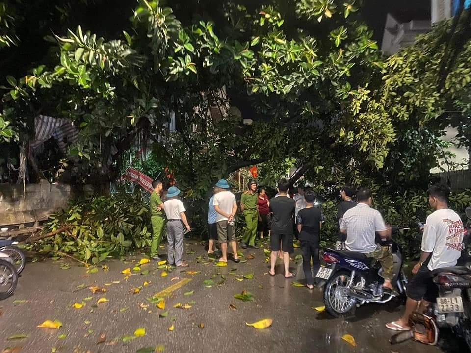 Cây to đổ sau mưa giông khiến cho tuyến đường xã Đồng huyện Vĩnh Tường bị tê liệt nhiều giờ.