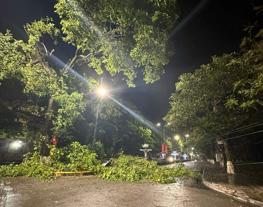 Khu vực đường Kim Ngọc thành phố Vĩnh Yên nhiều cây to lâu năm, một số cây gãy cành làm ảnh hưởng đến hệ thống dây điện, dây viễn thông, rất may không gây ra thiệt hại.