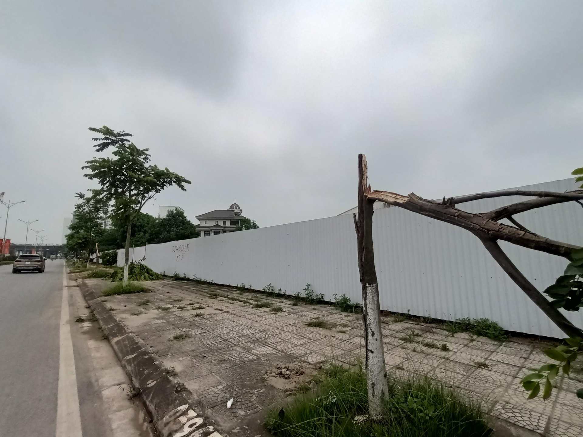 Hàng chục cây gãy đổ trên tuyến đường đôi Lý Thái Tổ, thành phố Vĩnh Yên sau mưa bão.