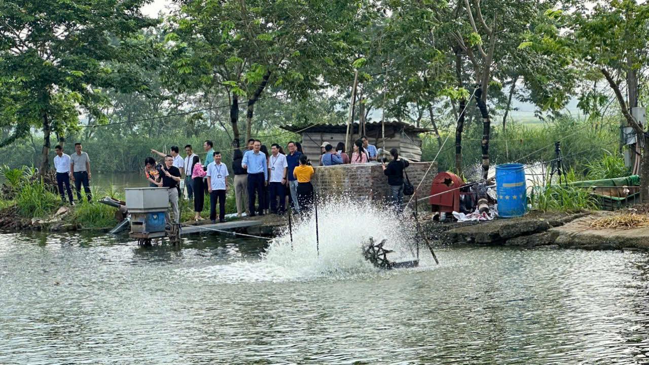 Chủ tịch Hội Nhà báo Vĩnh Phúc Nguyễn Đình Bảng dẫn đầu đoàn tham quan mô hình chăn nuôi thủy sản ứng dụng công nghệ cho thu nhập cao tại xã Liên Châu (Yên Lạc, Vĩnh Phúc)