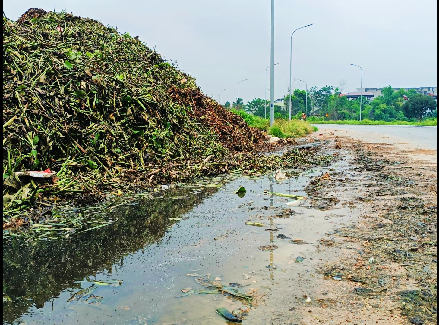 Vĩnh Phúc: Bảo vệ môi trường hồ sinh thái Đầm Vạc góp phần tạo cảnh quan đô thị xanh - ảnh 1 Vĩnh Phúc: Bảo vệ môi trường hồ sinh thái Đầm Vạc góp phần tạo cảnh quan đô thị xanh - ảnh 1