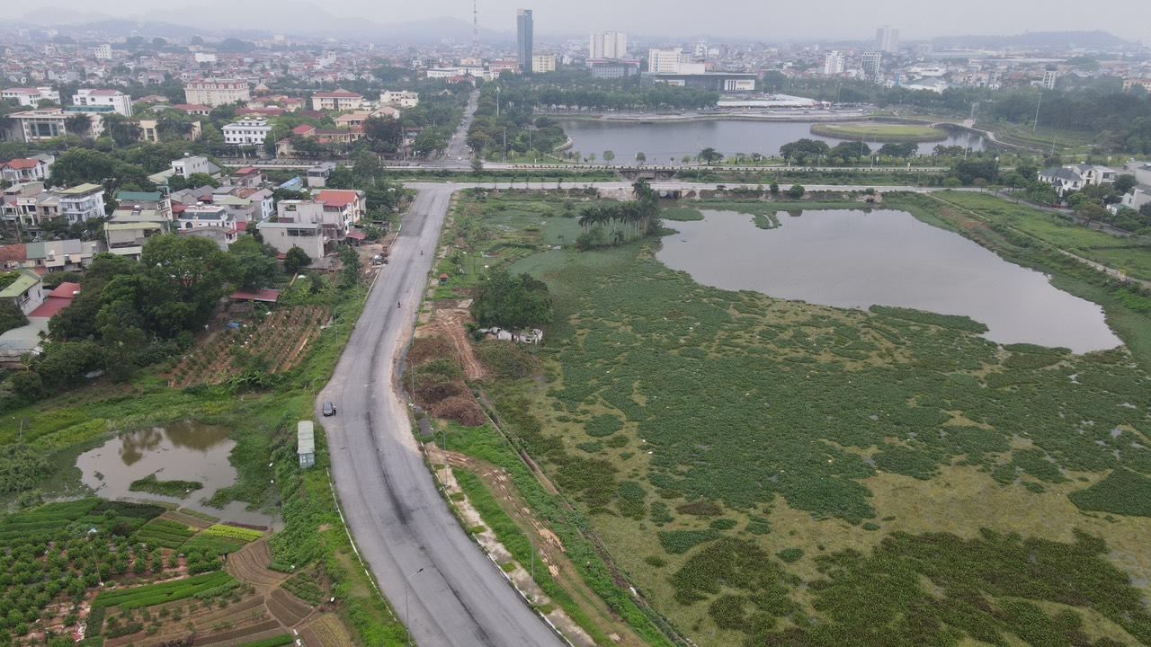 Vĩnh Phúc: Bảo vệ môi trường hồ sinh thái Đầm Vạc góp phần tạo cảnh quan đô thị xanh - ảnh 4 Vĩnh Phúc: Bảo vệ môi trường hồ sinh thái Đầm Vạc góp phần tạo cảnh quan đô thị xanh - ảnh 4