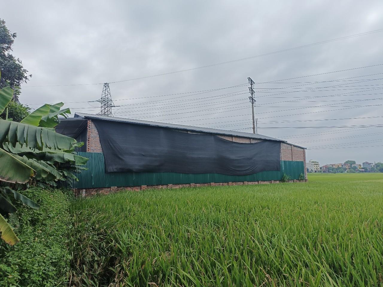 Xã Vĩnh Thành (Phú Thọ): Chủ động ngăn chặn vi phạm đất đai sau sáp nhập - ảnh 1 Xã Vĩnh Thành (Phú Thọ): Chủ động ngăn chặn vi phạm đất đai sau sáp nhập - ảnh 1
