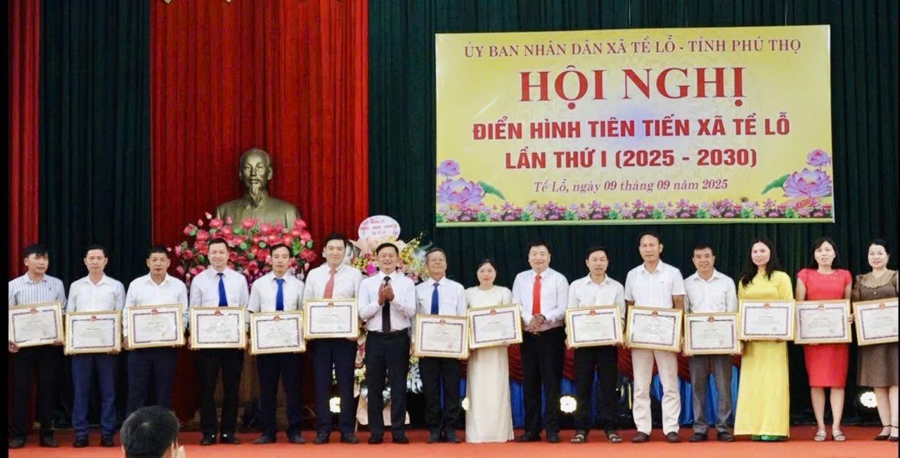 Qua các phong trào thi đua đã xuất hiện nhiều cá nhân, tập thể xuất sắc, thể hiện vai trò quan trọng như: cán bộ công chức địa phương, giáo viên, bác sĩ, doanh nghiệp, doanh nhân, hộ gia đình... góp phần quan trọng vào sự phát triển kinh tế, xã hội của xã Tề Lỗ trong những năm qua.