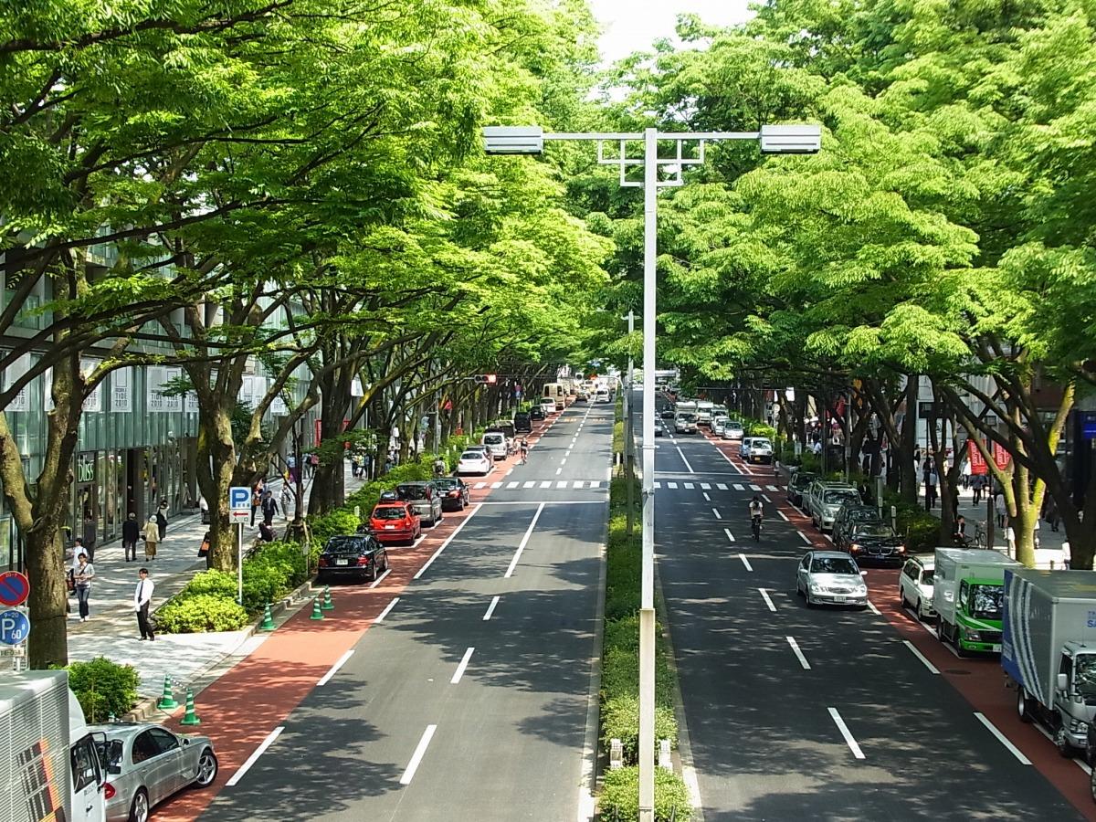 Nhật Bản triển khai “đổi mới xanh” - đổi mới trong lĩnh vực môi trường và năng lượng để đạt được một xã hội các-bon thấp.