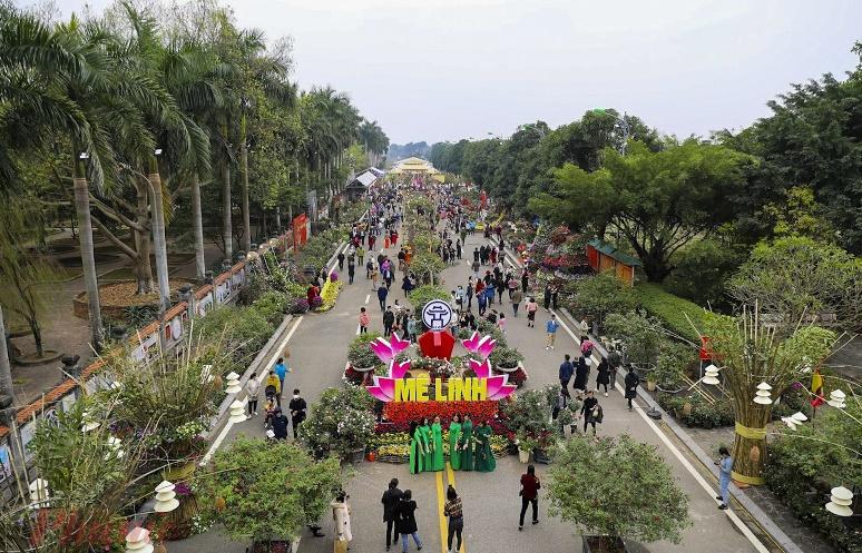 Lễ hội hoa Mê Linh năm nay sẽ có nhiều điểm mới.