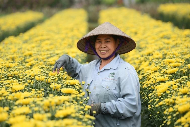 Đây là cơ hội để quảng bá “thủ phủ hoa Hà Nội” đến với du khách trong nước và quốc tế.