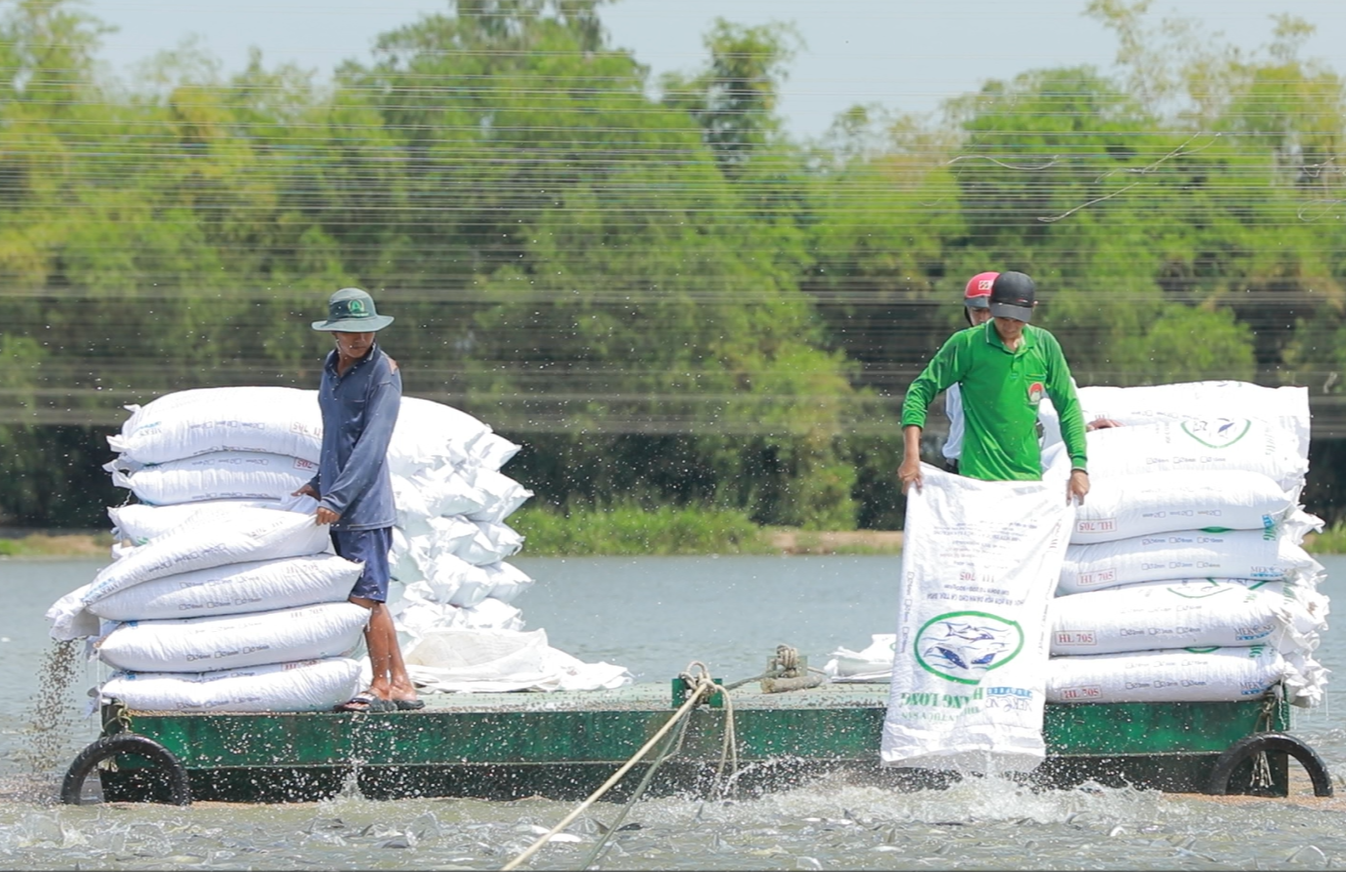Agribank đã đăng ký triển khai chương trình tín dụng ưu đãi lĩnh vực nông, lâm, thủy sản quy mô 20.000 tỷ đồng. Agribank đã đăng ký triển khai chương trình tín dụng ưu đãi lĩnh vực nông, lâm, thủy sản quy mô 20.000 tỷ đồng.