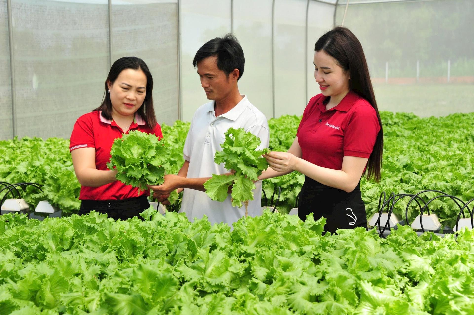 Từ nguồn vốn vay của Agribank, nhiều cá nhân, hộ gia đình đã phát triển hiệu quả mô hình sản xuất kinh doanh, thoát nghèo và vươn lên làm giàu. Từ nguồn vốn vay của Agribank, nhiều cá nhân, hộ gia đình đã phát triển hiệu quả mô hình sản xuất kinh doanh, thoát nghèo và vươn lên làm giàu.
