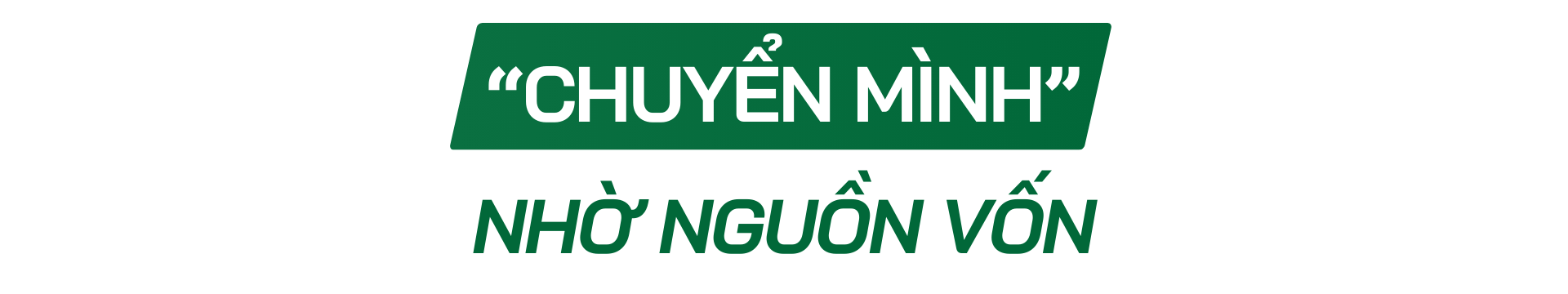 Từ vốn vay đến giá trị bền vững: Agribank “tiếp lửa” cho doanh nghiệp tư nhân phát triển dài hạn - ảnh 6 Từ vốn vay đến giá trị bền vững: Agribank “tiếp lửa” cho doanh nghiệp tư nhân phát triển dài hạn - ảnh 6