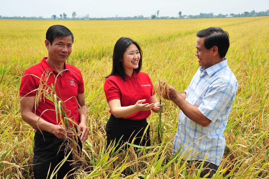 Đề án “Phát triển bền vững 1 triệu hecta chuyên canh lúa chất lượng cao và phát thải thấp gắn với tăng trưởng xanh vùng đồng bằng sông Cửu Long đến năm 2030” đã cho những trái ngọt đầu tiên. Đề án “Phát triển bền vững 1 triệu hecta chuyên canh lúa chất lượng cao và phát thải thấp gắn với tăng trưởng xanh vùng đồng bằng sông Cửu Long đến năm 2030” đã cho những trái ngọt đầu tiên.