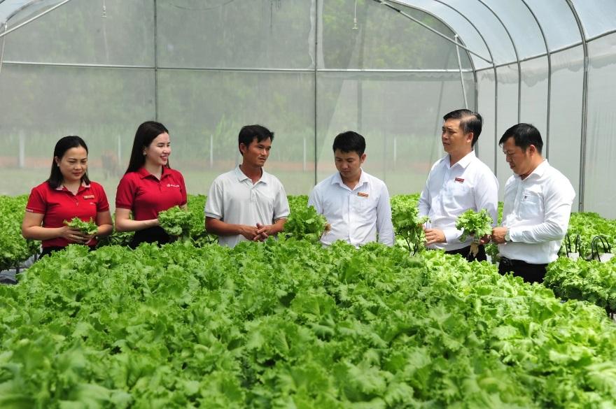 Cán bộ Agribank chi nhánh Bắc Long An thăm mô hình trồng rau thủy canh của anh Lê Văn Dể. Cán bộ Agribank chi nhánh Bắc Long An thăm mô hình trồng rau thủy canh của anh Lê Văn Dể.