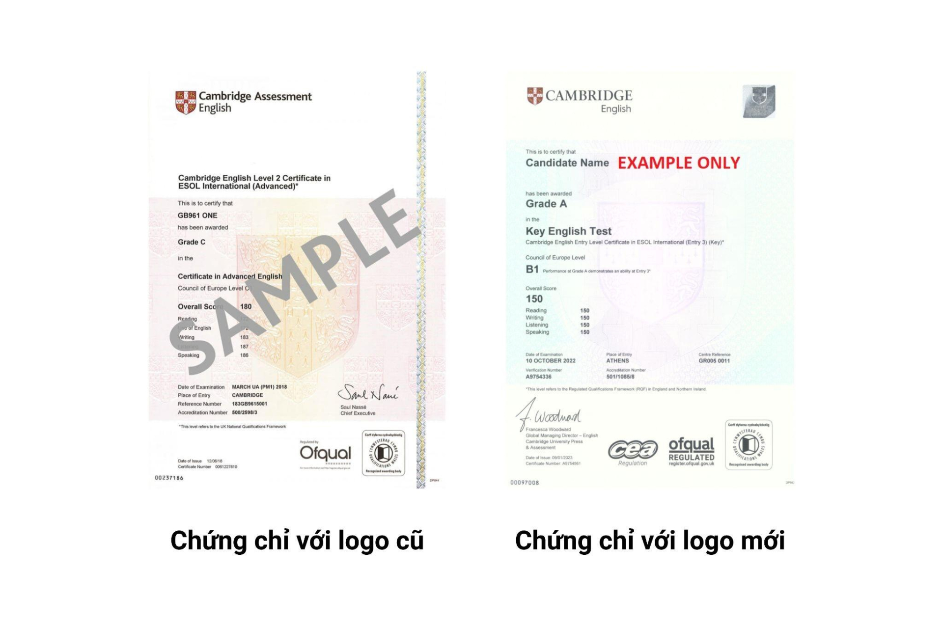 Cambridge Assessment English chính thức đổi tên thành Cambridge English - ảnh 2 Cambridge Assessment English chính thức đổi tên thành Cambridge English - ảnh 2
