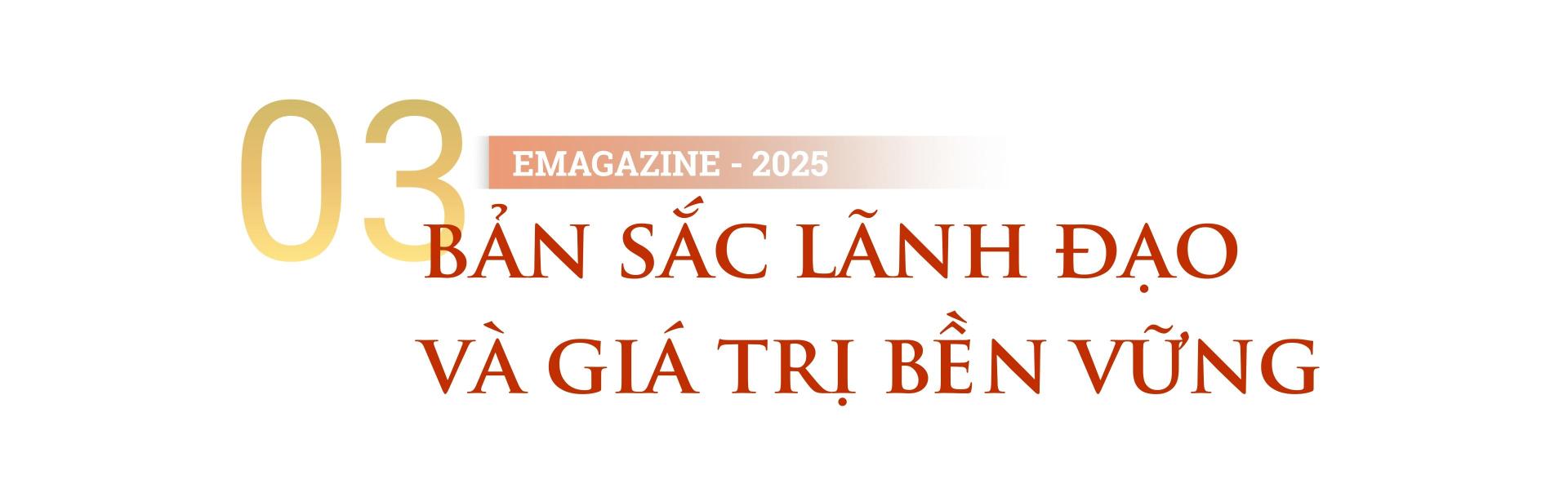 Chủ tịch ROX Group và hành trình mang dấu ấn 