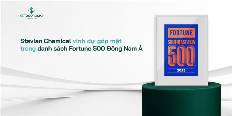 Stavian Hóa chất vào Top 219 doanh nghiệp lớn nhất Đông Nam Á do Fortune bình chọn - ảnh 2 Stavian Hóa chất vào Top 219 doanh nghiệp lớn nhất Đông Nam Á do Fortune bình chọn - ảnh 2