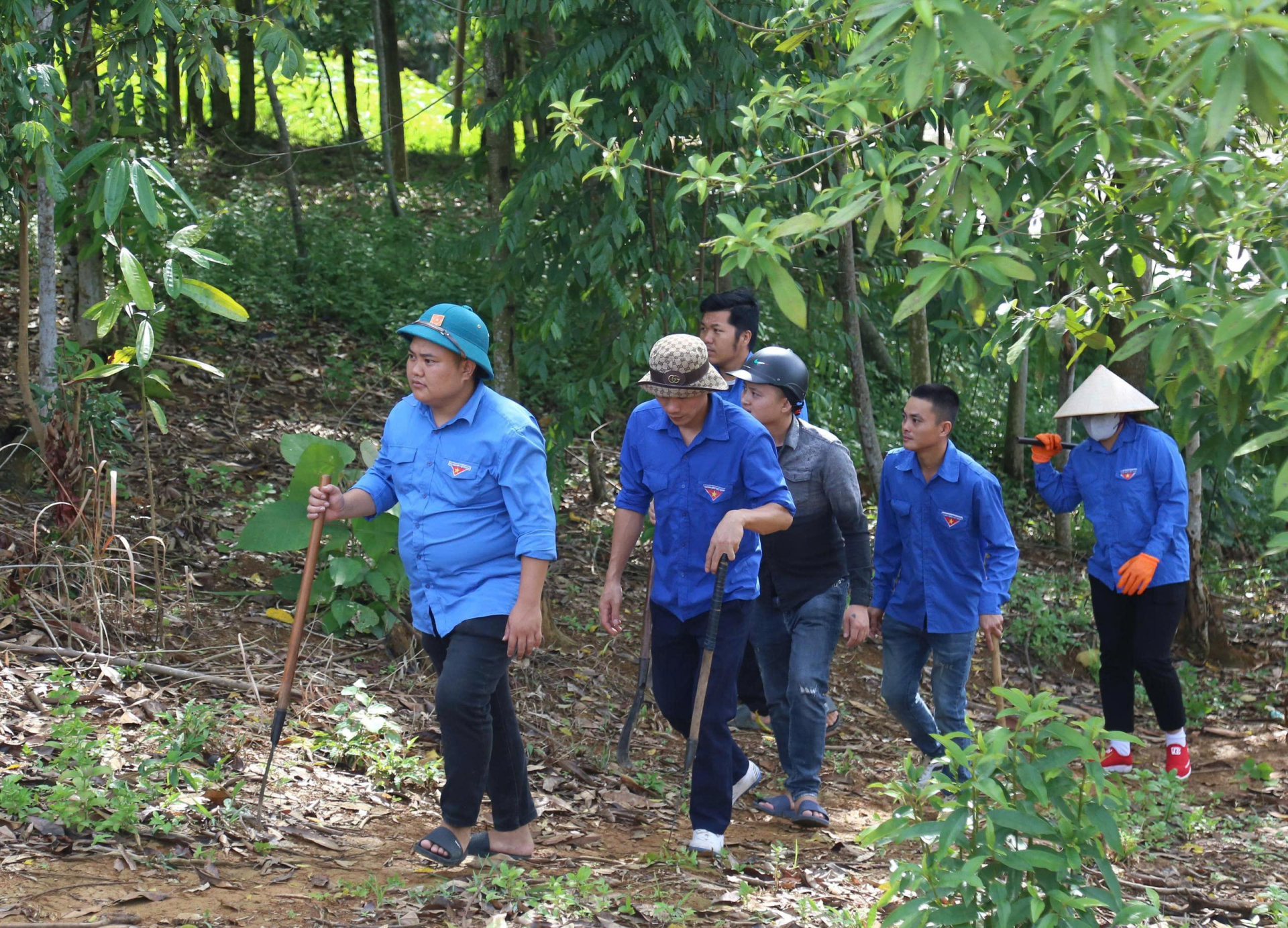 Thanh niên hỗ trợ phát quang hành lang tuyến, chặt cây ở một số vị trí . Thanh niên hỗ trợ phát quang hành lang tuyến, chặt cây ở một số vị trí .