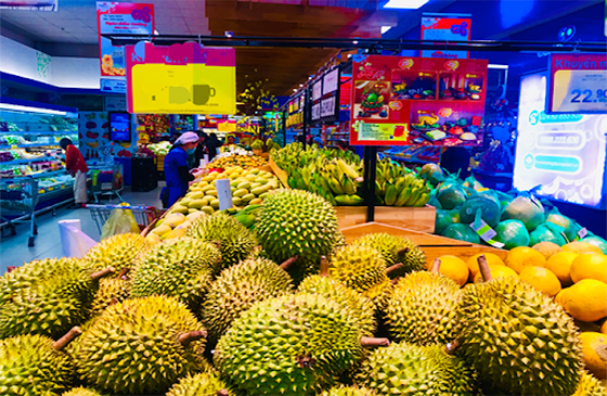 Sầu riêng của Việt Nam là một trong những mặt hàng nông sản xuất khẩu được ưa chuộng tại Australia.