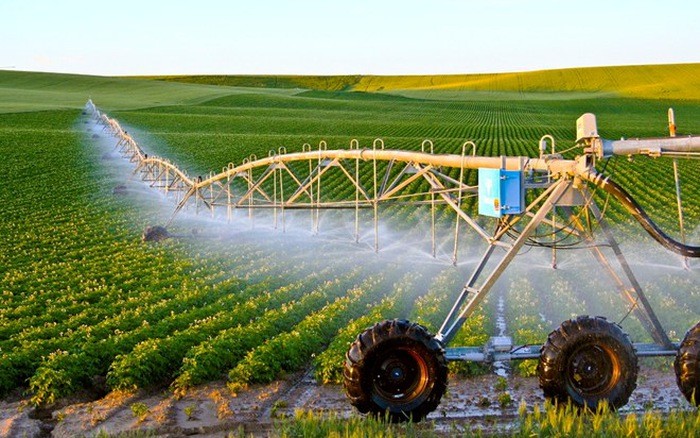 Các nghiên cứu gần đây cho thấy, để đảm bảo nguồn lương thực cho dân số thế giới thì sản lượng của ngành nông nghiệp phải tăng thêm 60% vào năm 2030.