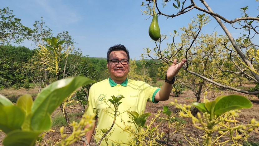 Chủ nhiệm Mạng lưới Lương Định Của toàn quốc Đặng Dương Minh Hoàng - người sở hữu, quản lý Nông trại Thiên Nông (H.Bù Gia Mập, Bình Phước)