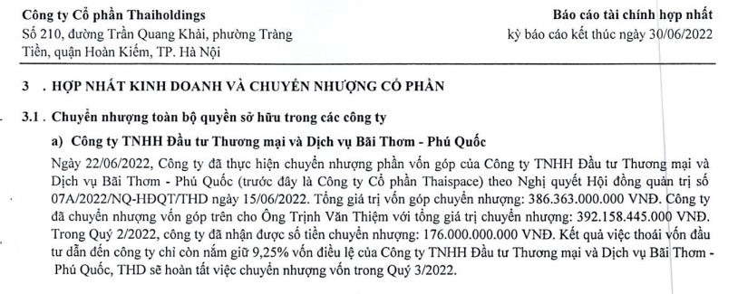 Thuyết minh báo cáo tài chính quý II của Thaiholdings