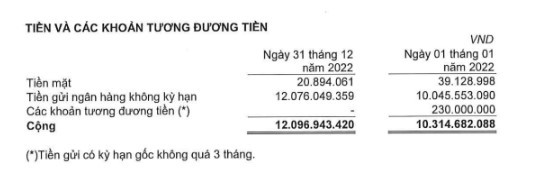 Nguồn: BCTC VRC
