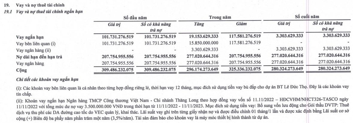 Vay và nợ thuê tài chính ngắn hạn