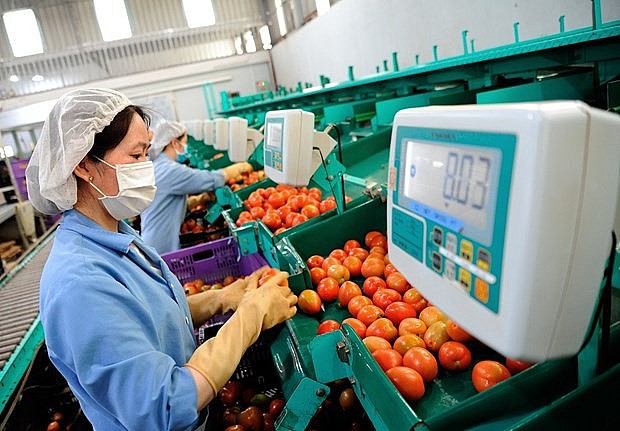 ứng dụng công nghệ cao, thông minh vào sản xuất nông nghiệp của tỉnh Lâm Đồng.