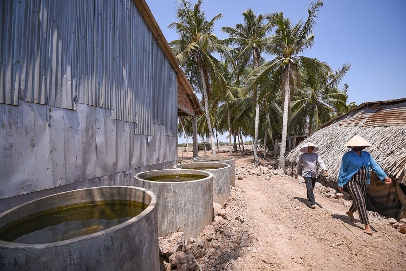 Người dân tại Ba Tri, Bến Tre tích trữ nước ngọt trong bể xi măng. (Ảnh: Tùng Đinh, Tân Á Đại Thành)