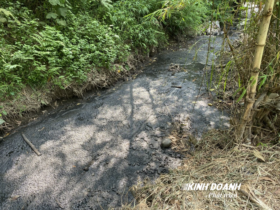 Phát triển Kinh tế trang trại - Từ những quy định của Pháp Luật đến thực tiễn tại huyện Lập Thạch (Vĩnh Phúc)