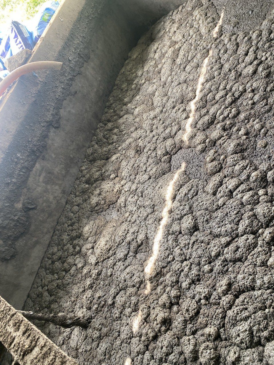 Mô hình nuôi trùn quế từ chất thải chăn nuôi của “Tú Sẹp” ở Thanh Chương (Nghệ An): Hướng đi mới cho nền nông nghiệp tuần hoàn