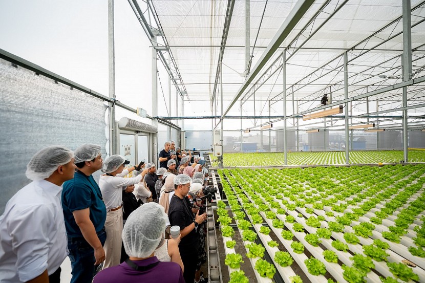 Các nhà lãnh đạo trẻ tham quan nhà kính thủy canh tại Comcrop, công ty đầu tiên của Singapore chuyên nuôi trồng thực phẩm thương mại trên mái nhà