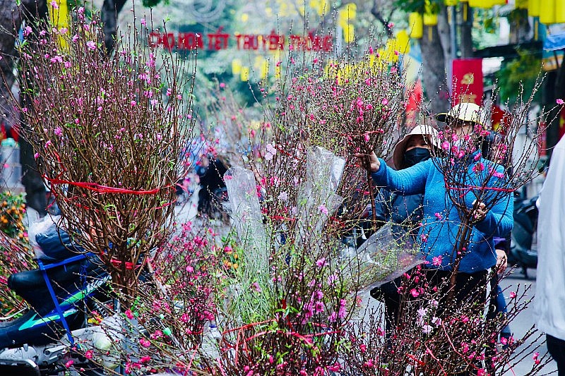 Chợ hoa Tết truyền thống tại tuyến phố cổ Hà Nội. Ảnh: Nhật Bắc