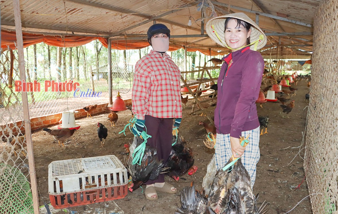 Xây dựng nông thôn mới và điểm sáng ở Thanh An