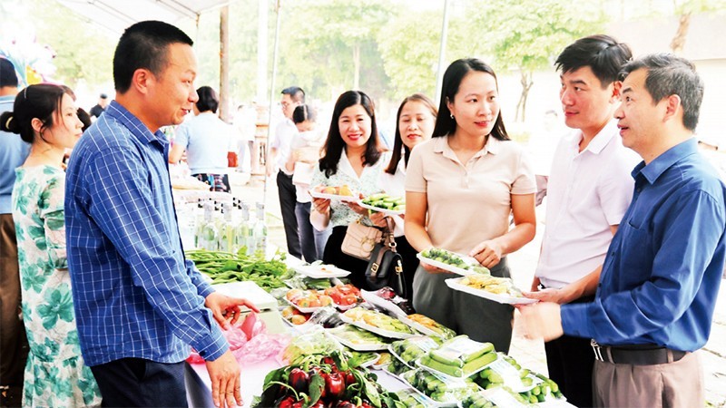 Liên kết trong sản xuất nông nghiệp, thúc đẩy xây dựng nông thôn mới ở Bắc Ninh
