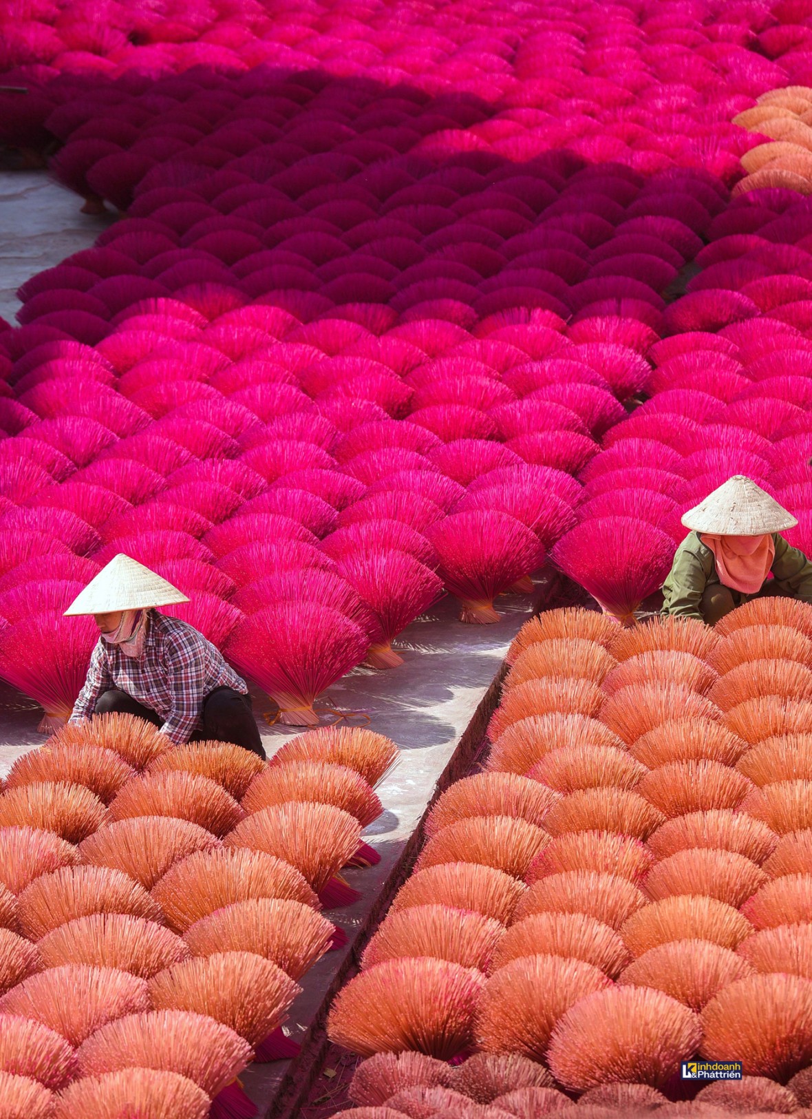 Làng hương Quảng Phú Cầu vào vụ Tết