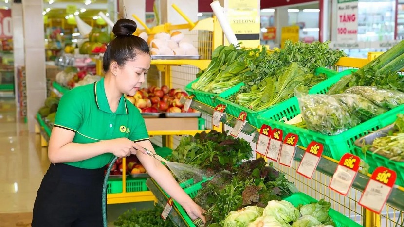 Chuỗi Bách Hoá Xanh đã trở thành “điểm sáng” trong bức tranh kinh doanh của Thế giới Di động trong năm nay.