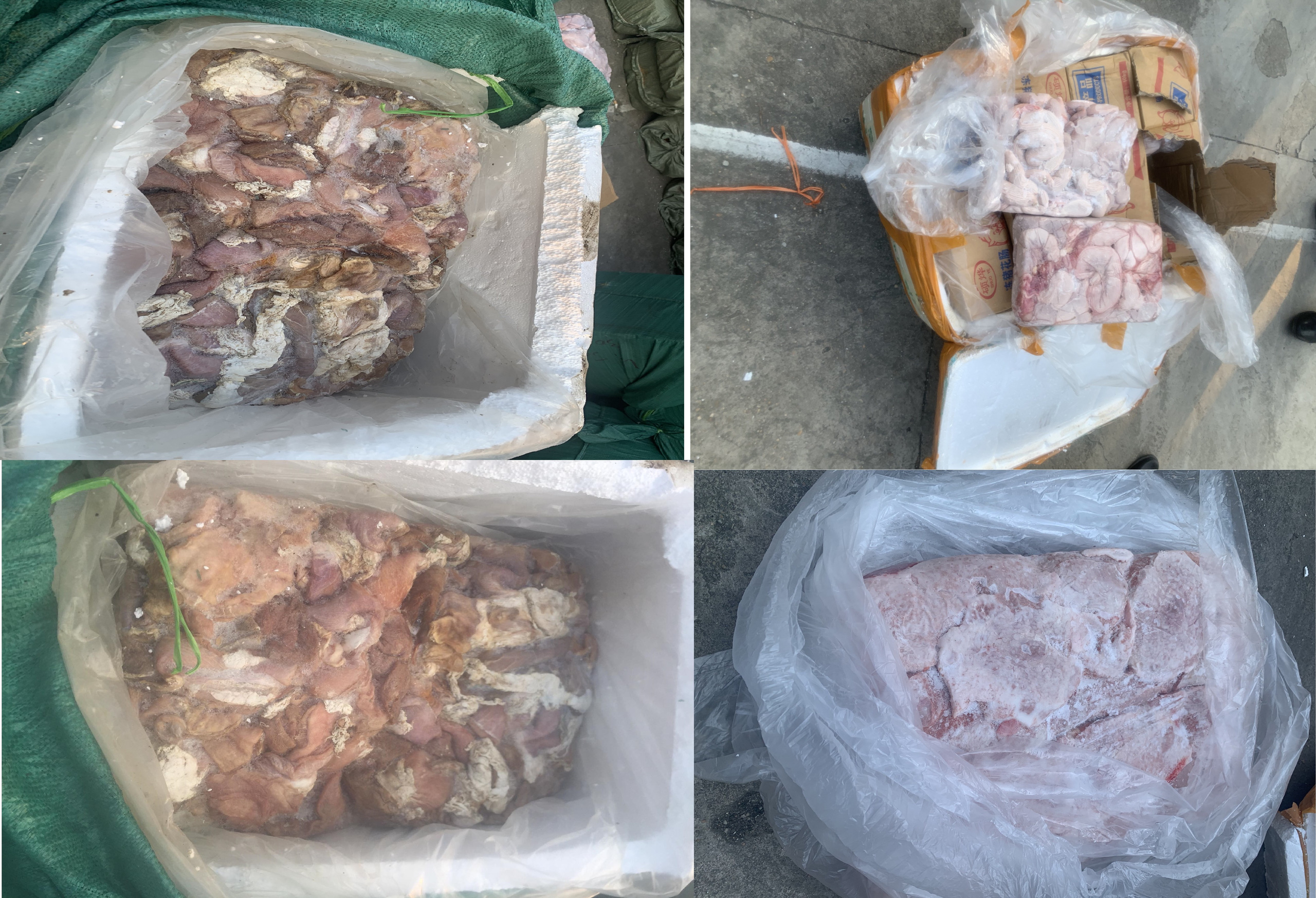 Kiểm tra xe tải đang bốc hàng, phát hiện 3,5 tấn thịt và nội tạng lợn hôi thối chuẩn bị bán dịp tết - Ảnh 2.