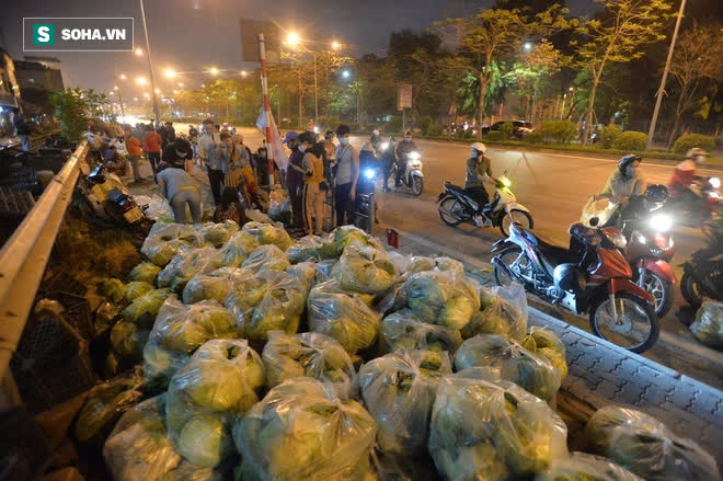 Cuộc giải cứu nông sản Hải Dương lúc nửa đêm tại Hà Nội, nhiều người mua cả tạ hàng - Ảnh 10.