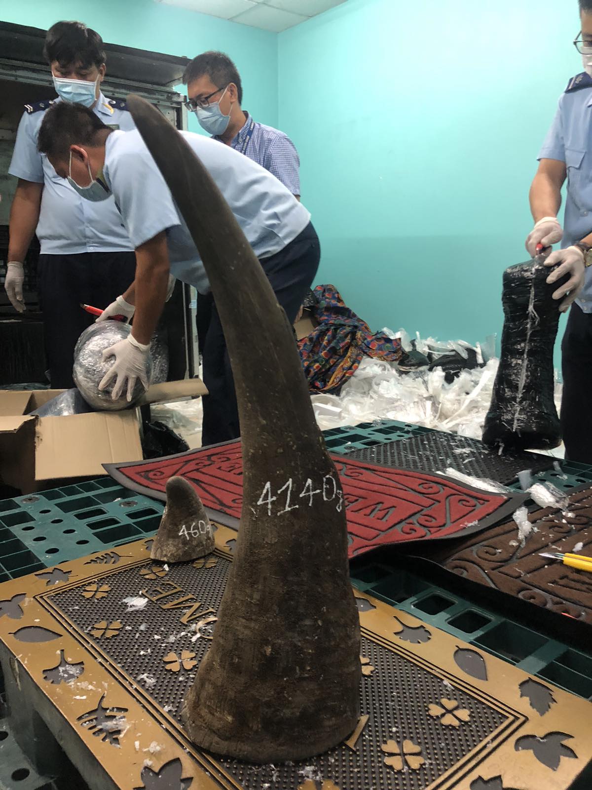 Hé lộ công ty đứng sau gần 100 kg nghi sừng tê giác ở khu vực sân bay Tân Sơn Nhất - Ảnh 1.