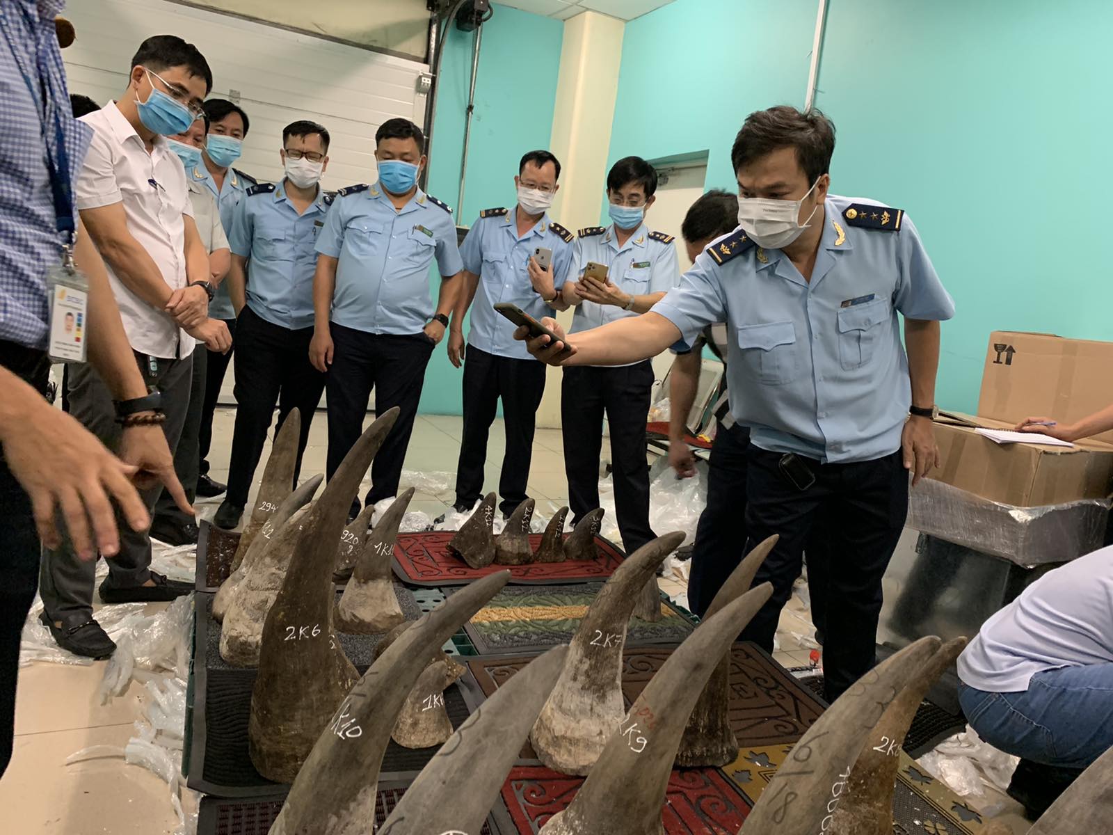 Hé lộ công ty đứng sau gần 100 kg nghi sừng tê giác ở khu vực sân bay Tân Sơn Nhất - Ảnh 2.