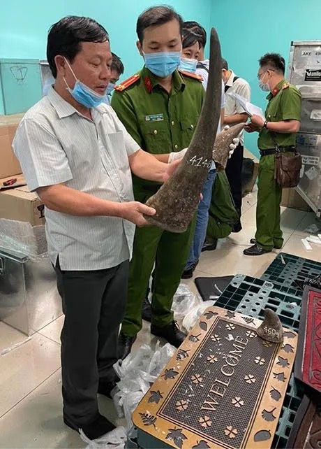Hé lộ công ty đứng sau gần 100 kg nghi sừng tê giác ở khu vực sân bay Tân Sơn Nhất - Ảnh 8.