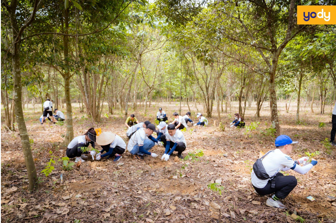 Cán bộ nhân viên Yody trồng cây tại rừng Cúc Phương.