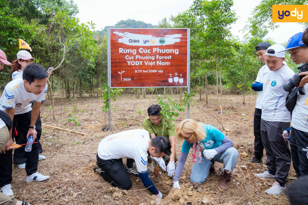 Yody tài trợ Gaia 1 tỷ đồng và hành trình phủ xanh rừng Việt Nam - ảnh 5
