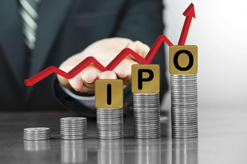 Nói về dự định IPO mảng điện, chủ tịch Nguyễn Thị Mai Thanh cho biết: “Hiện tại thì chưa có ý định IPO. Đó chính là một khía cạnh và công ty cần thêm vốn nhưng cũng chưa có kế hoạch”. (Nguồn ảnh: Tài chính kinh tế)