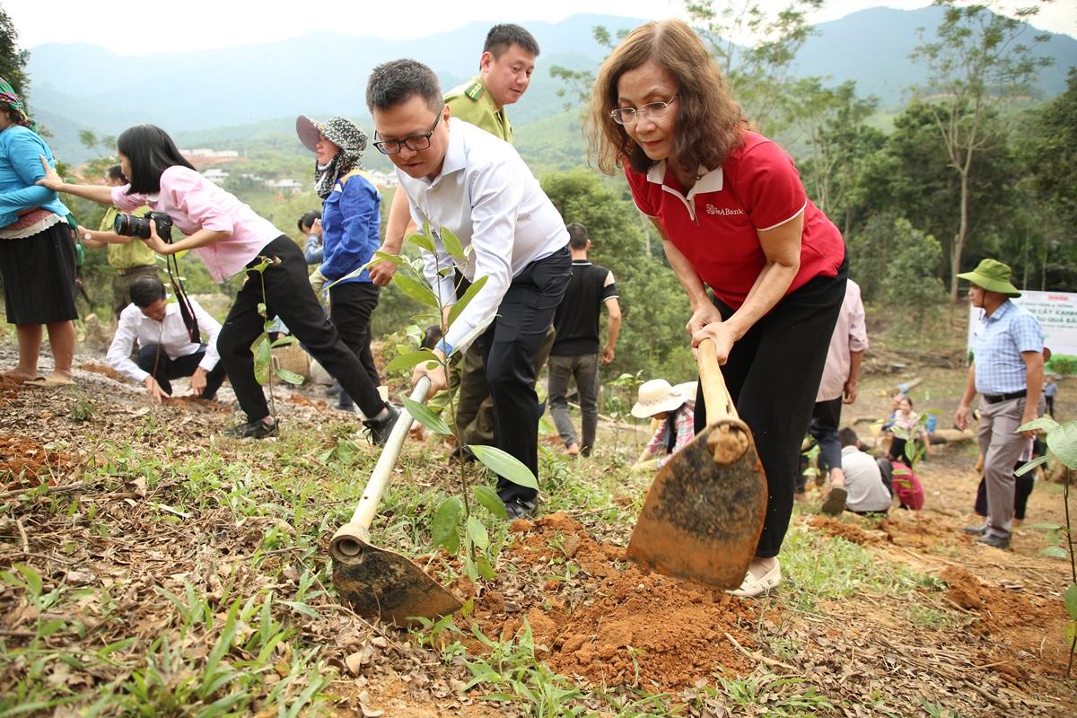 Hỗ trợ trồng và khôi phục rừng, phục hồi sinh kế cho các hộ gia đình chịu thiệt hại.